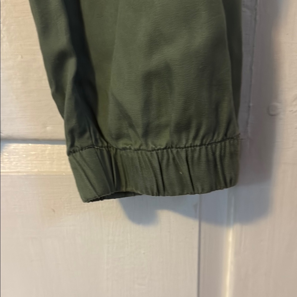 NWT Abercrombie & Fitch Green Elevated Joggers with Relaxed Fit - Picture 4 of 5